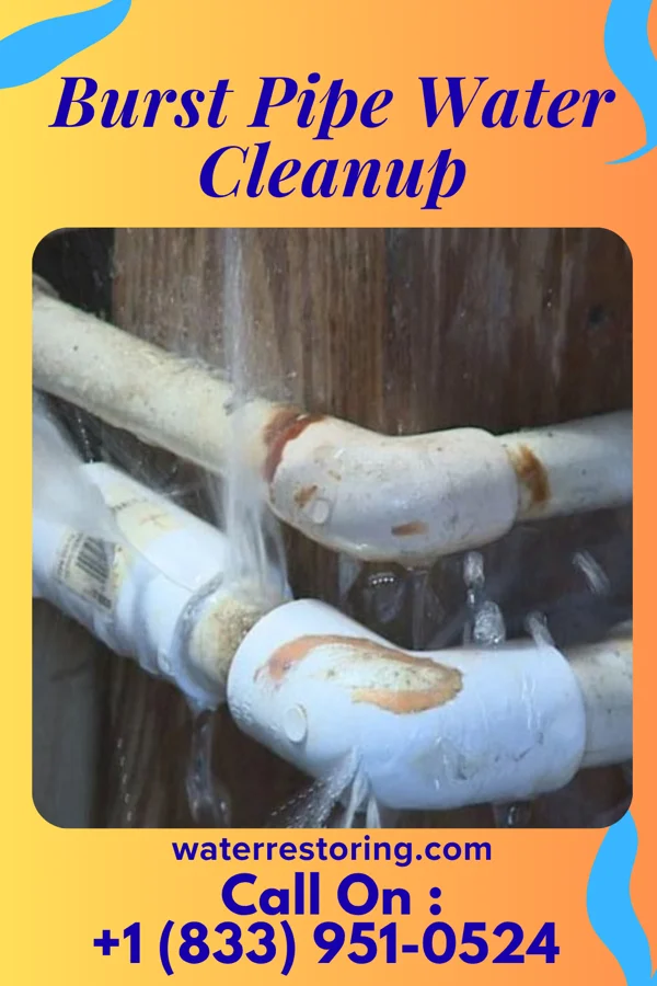 Burst Pipe Water Cleanup in Versailles, OH