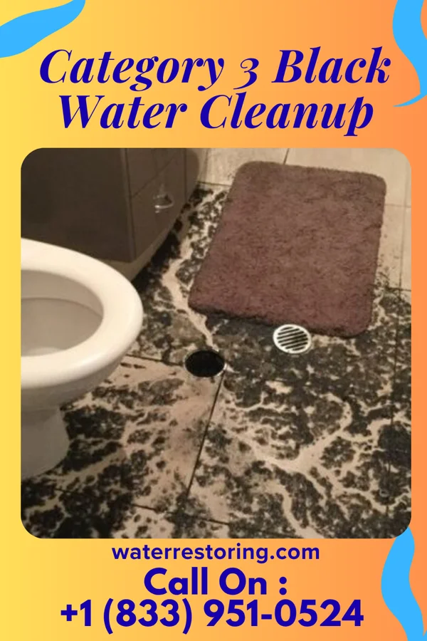 Category 3 Black Water Cleanup in Versailles, OH