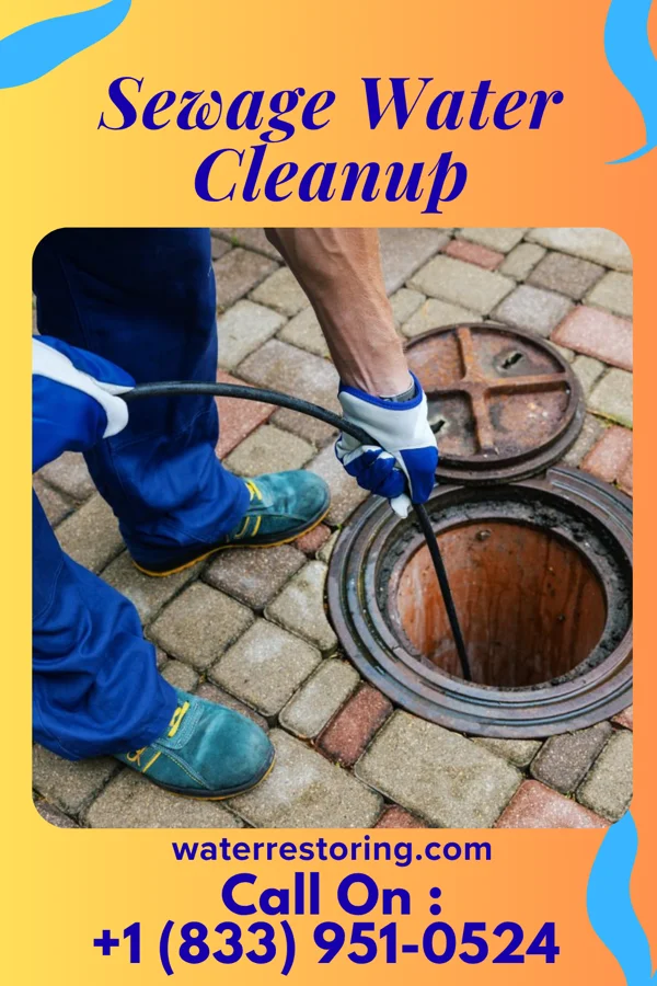 Sewage Water Cleanup in Versailles, OH
